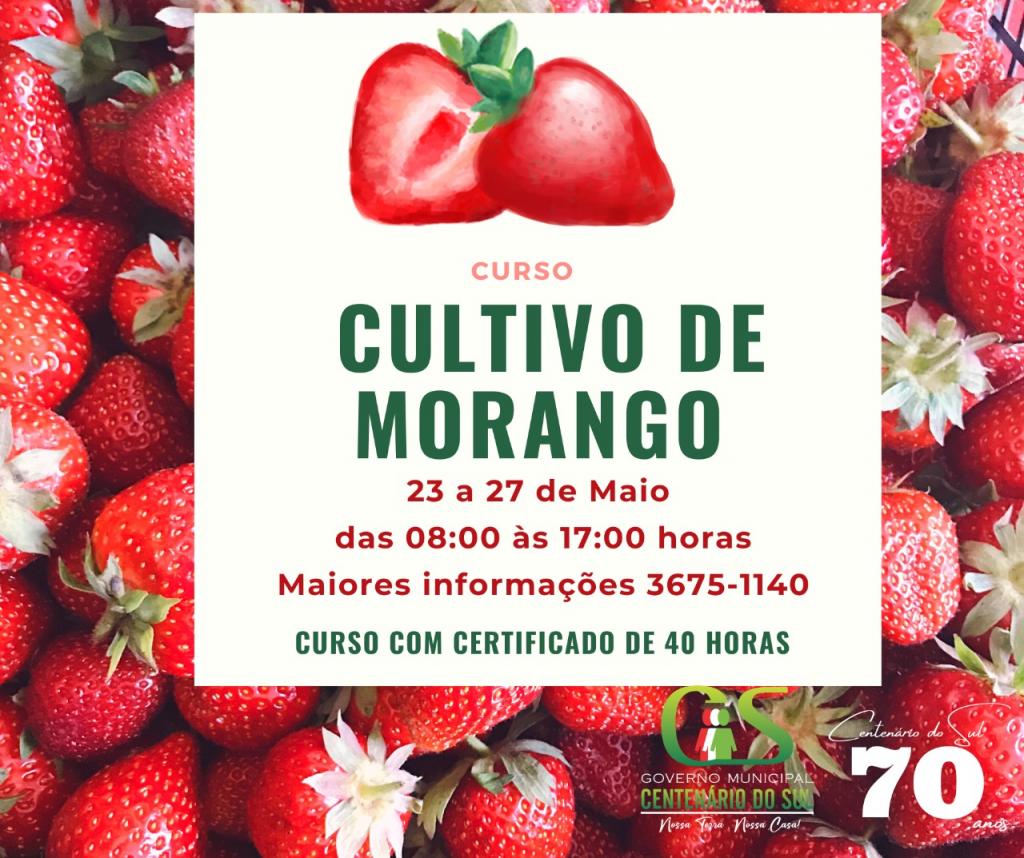 Notícia
