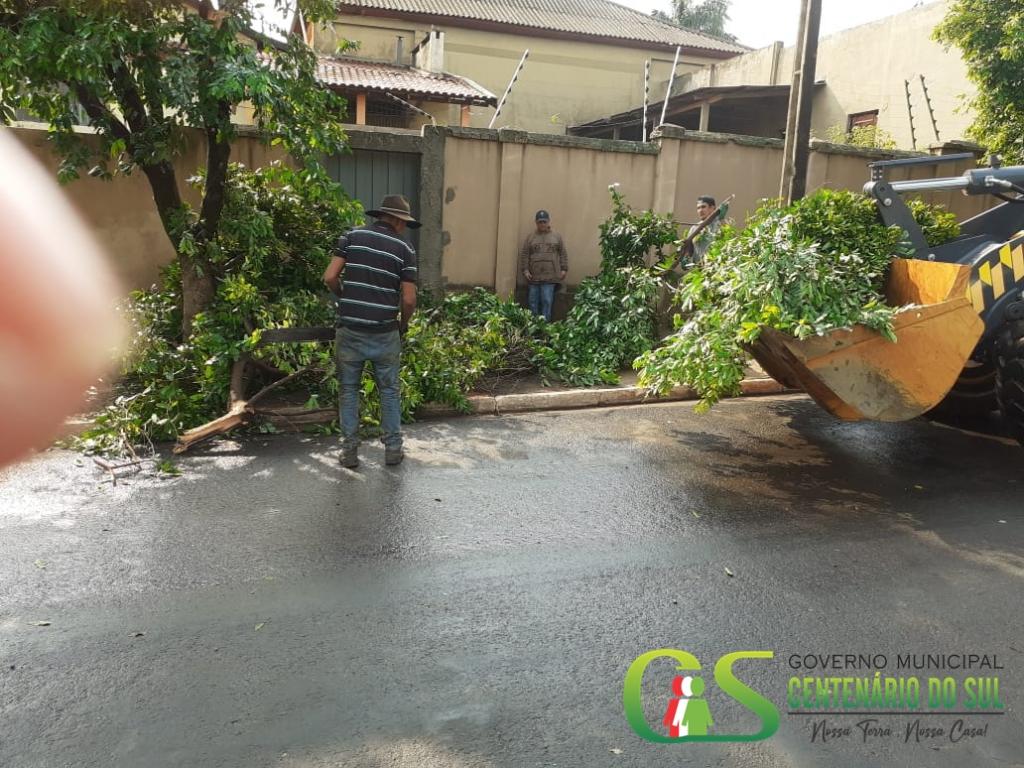 DEFESA CIVIL – Quatro frente de trabalho estão nos serviços de limpeza e remoção de galhos após forte chuva