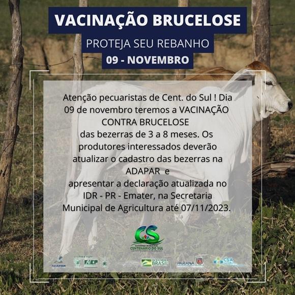 Notícia