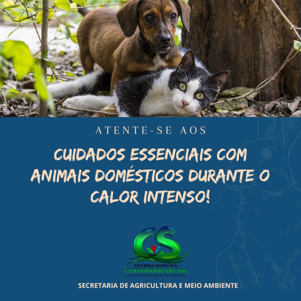 Notícia