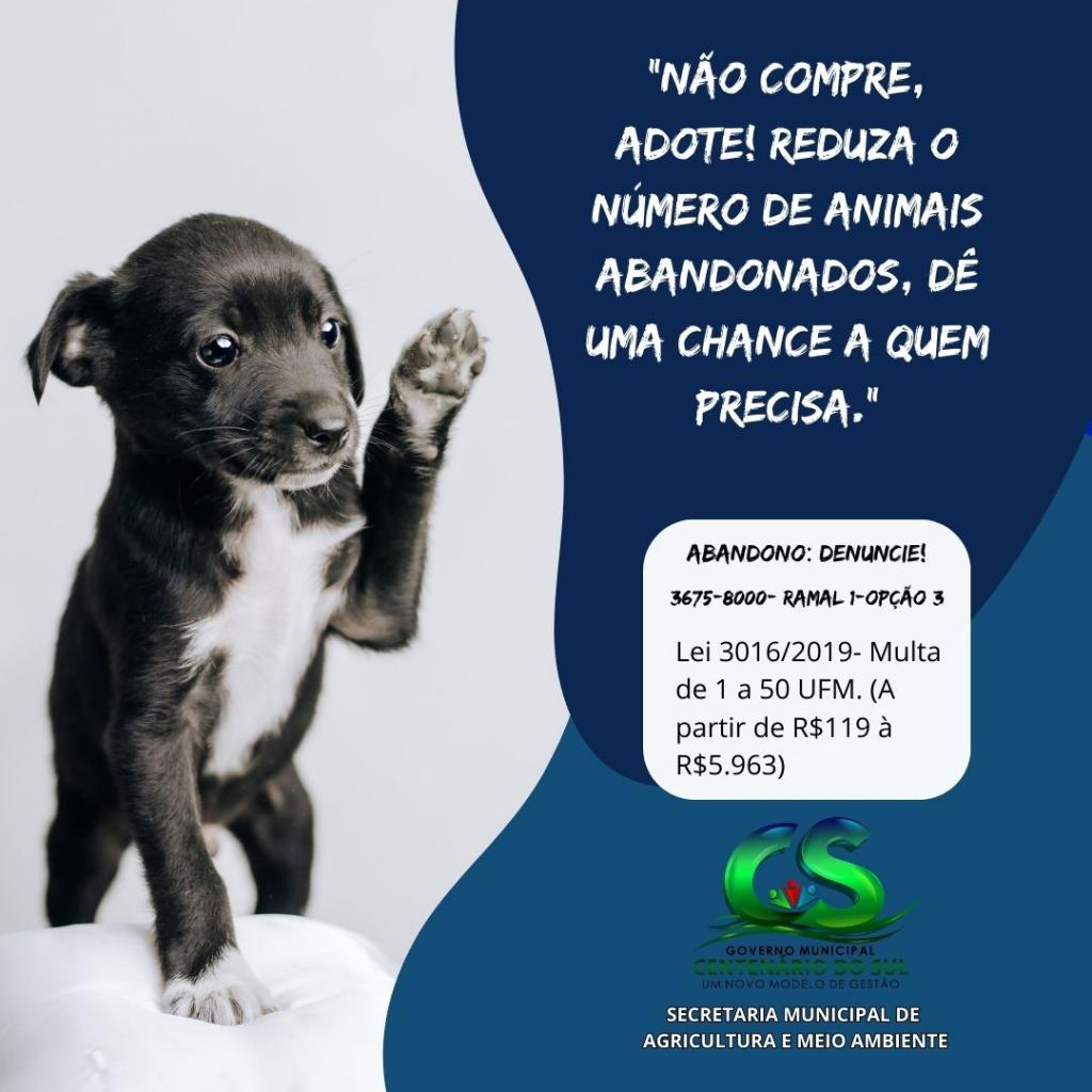 Notícia