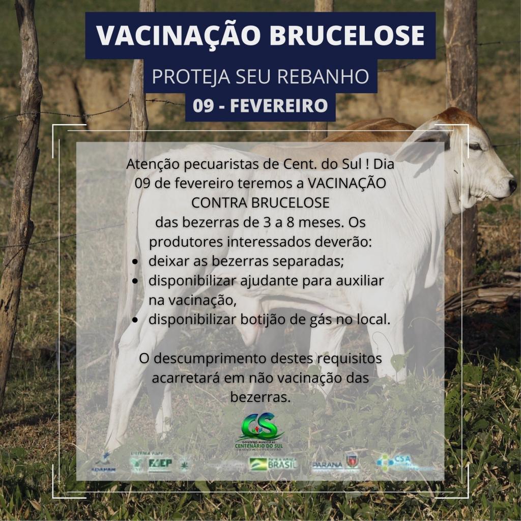 Notícia
