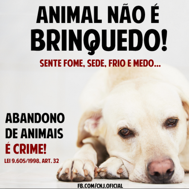 Notícia
