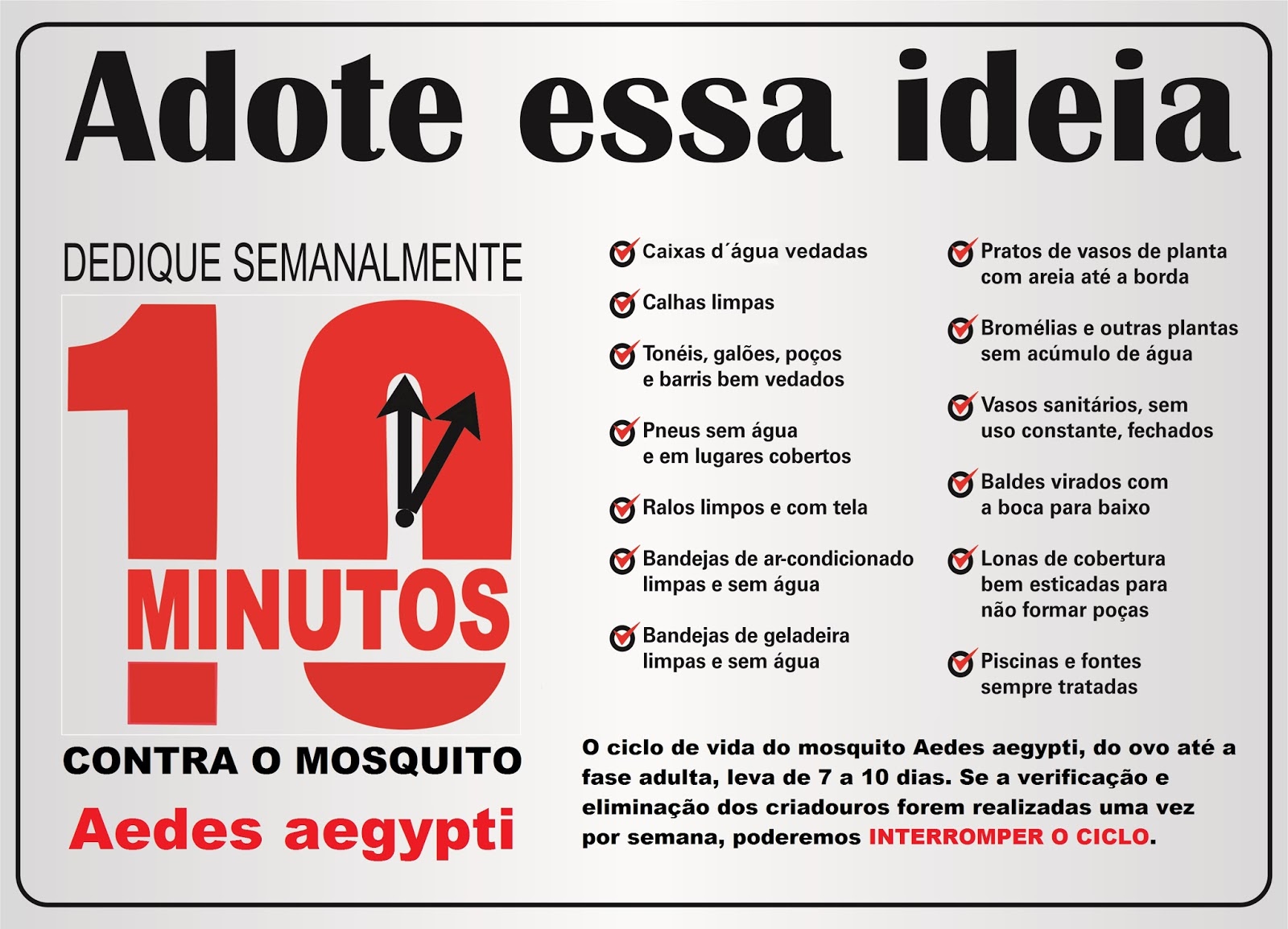 Notícia